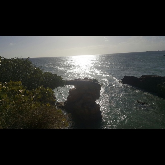 Meet your Posher, Lizbeth - Picture 1 of 1